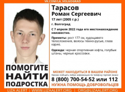 В Волгограде пропал 17-лений подросток: волжане присоединяются к поискам 