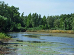 В Волго-Ахтубинской пойме развиваются водные экскурсии