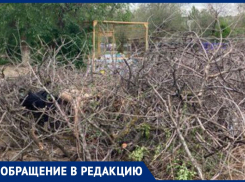 «Деньги за вывоз мусора уходят в никуда», - волжанин о горе веток