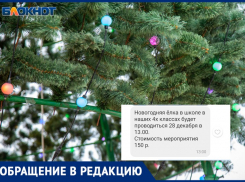 С родителей собирают деньги на платную елку в школе Волжского