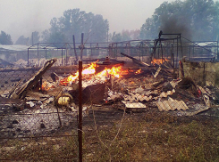 Только одна улица уцелела после разрушительного пожара в поселке Красный под Волжским 
