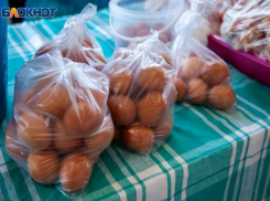 Люди могут остаться без яиц: на 20% подорожали куриные яйца в Волжском