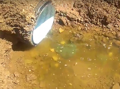 Тайный сток со зловонной зеленой химией устроил завод в реку Ахтуба в Волжском