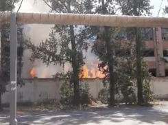 Теперь трава: огонь снова атаковал заброшенное здание завода ЭВТ