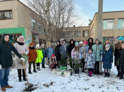Юные волжане высадили молодые ели на территории «Русинки»