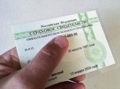 Волжане получают СНИЛС нового образца