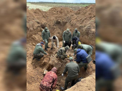 Эхо Сталинградской битвы: прокуроры обнаружили останки 188 советских солдат