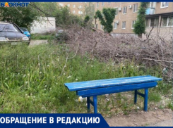 Сухие ветки наполнили дворы Волжского. Когда их уберут?