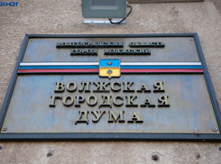 Шестую часть депутатов выгонят из Волжской городской думы