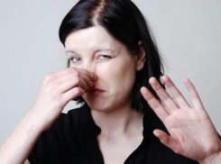 Волжане и волгоградцы жаловались на очередную «химическую атаку»