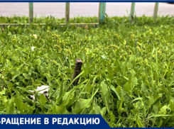 Опасный штырь у детской площадки: жительница Волжского бьёт тревогу