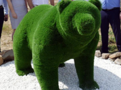 В новом парке появился топиарный медведь