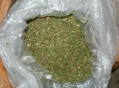 Трое мужчин собирались заработать 5 миллионов рублей за 300 килограммов марихуаны в Среднеахтубинском районе