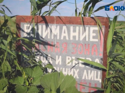Волжские студенты победили в конкурсе экологических исследований
