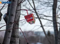 Ураганный ветер и снег с дождем: прогноз погоды в Волжском