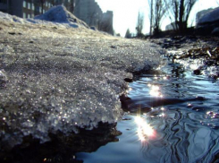 Волгоградцев в середине недели ждет оттепель 