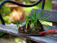 Волжский преображается к лету: дан старт месячника по благоустройству