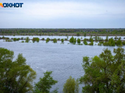 В Волжском будет пасмурно, а вечером пойдет дождь: прогноз погоды на понедельник