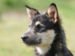 В субботний день волжан ждет переменная облачность