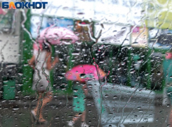 День страховщика обещает дождливую погоду