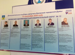  Четыре кандидата на кресло депутата в Волжскую гордуму предоставили недостоверные сведения