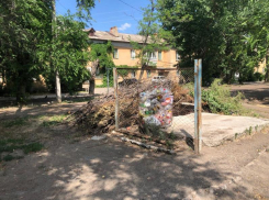 Администрация Волжского наказала УК за сухостой на мусорных площадках