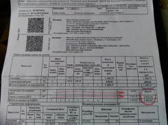 «За эти деньги без всяких счетчиков можно отапливаться еще целый год», - волжанин