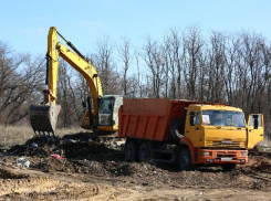 В Волго-Ахтубинской пойме ликвидировали свалки