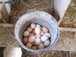 В Волжском увеличились объемы реализации основных видов продукции сельского хозяйства