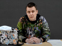 Подчиненные начальника культуры Волжского пытаются оправдать Елену Славину