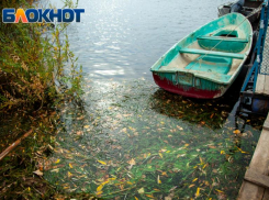 Телец будет весь в работе, а Водолей может влюбиться