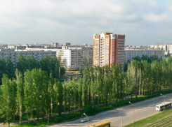 В Волжском работает «горячая экологическая линия» круглые сутки