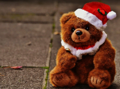 Американская компания судится с волжанином из-за мягкой игрушки