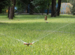 В волжском сквере по проспекту Дружбы обновят качели за 156 тысяч рублей