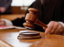 Житель Быковского района приговорен к 15,5 годам колонии за два жестоких убийства