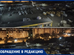 Стая диких собак забегает в жилые дворы и пугает детей в Волжском