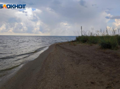 Об уникальном Птичьем острове и купании в опасной быстрине: Блокнот Путешественника для волжан