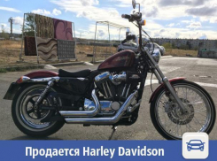 В Волжском продается мощный Harley Davidson