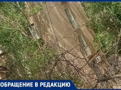 Обломленное дерево рискует в любую секунду убить прохожих в Волжском