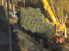 Выкопанная ель и каменный забор вокруг отдела полиции возмутили волжан