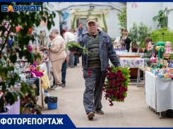 «Дыши летом» среди дождя и тысяч цветов: в Волжском дали старт самому яркому событию весны