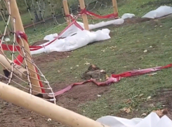 «Чудо архитектуры» в парке Волжского мужчина снял на видео