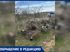 «Скоро свалка образуется, а не кладбище»: жители Волжского жалуются на состояние мест вечного упокоения