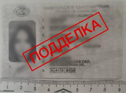Волжанка заплатила за липовые права «Хондой» и свободой