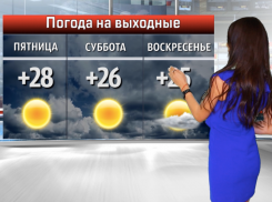 Счастливые погоду не наблюдают