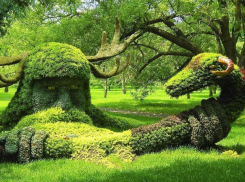 За шестьдесят три миллиона благоустроят зеленую зону в Волжском