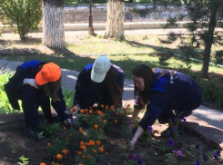 Служба занятости трудоустроит более 3 тысяч подростков