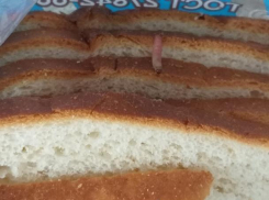 Волжанин купил хлеб с червяками