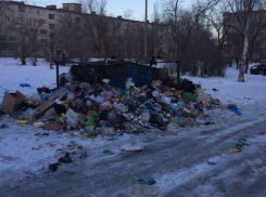 Волжане возмутились разлагающемуся мусору в своем дворе