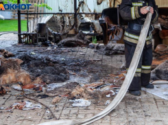 Волжане считают, что проверку в СНТ «Урожай» обязаны провести
